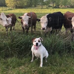 Meet your Posher, Cheryl